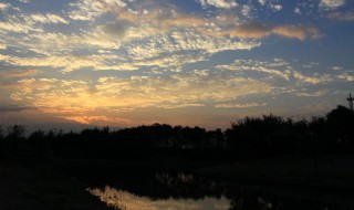 傍晚的景色描写（夏天傍晚的景色描写）