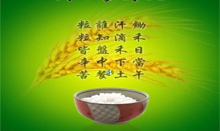 不浪费粮食的名言（不浪费粮食的名言警句）