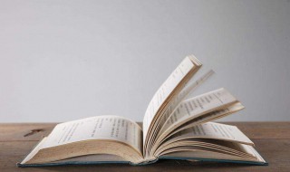 红星照耀中国每篇概括300 红星照耀中国每篇概括300字以内