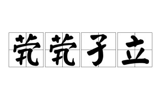 茕茕孑立什么意思（茕茕孑立什么意思啊）