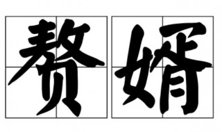 赘婿什么意思（赘婿什么意思?）