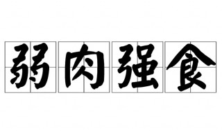 弱肉强食什么意思 弱肉强食什么意思,十二生肖指什么生肖