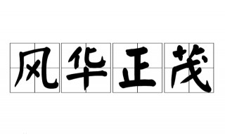 风华正茂什么意思（永远风华正茂什么意思）