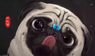 巴扎黑什么意思 蒙古语巴扎黑什么意思