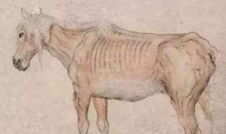 扬州瘦马什么意思（古代富人如何在玩瘦马）