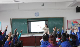 子欲养而亲不待什么意思（莫等子欲养而亲不待什么意思）