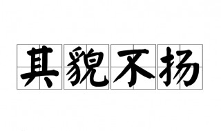 其貌不扬什么意思（其貌不扬什么意思解释词语）