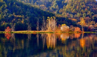依山傍水是什么意思（依山傍水是什么意思并造句）
