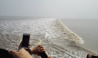 风号浪吼是什么意思 风号浪吼是什么意思解释一下