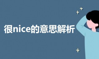 很nice的意思是什么（很nice的三种意思）