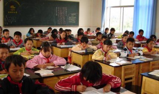 大伽是什么意思 明星大伽是什么意思