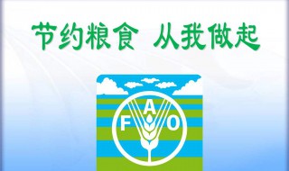 节约粮食演讲稿 节约粮食演讲稿800字