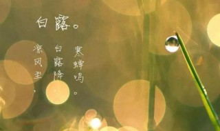 白露的古诗 白露的古诗 李白
