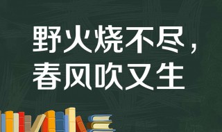 野火烧不尽春风吹又生是哪首古诗（野火烧不尽春风吹又生是哪首古诗拼音）