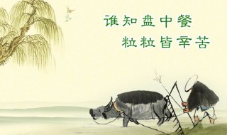 节约粮食的宣传语（节约粮食的宣传语手抄报）