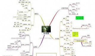 数学八种思维方法 数学八种思维方法小学