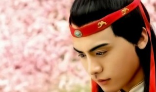 美玉无瑕指的是谁（美玉无瑕指的是谁阆苑仙葩指的是谁）