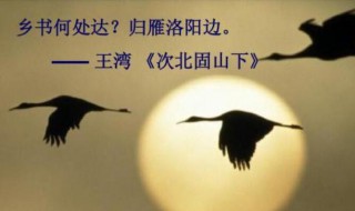 归雁洛阳边的上一句 归雁洛阳边的上一句诗是什么