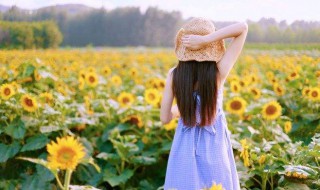 思乡之情的优美句子 老了思乡之情的优美句子