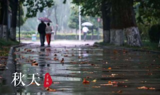 形容秋雨的句子优美 形容秋雨的句子优美的句子