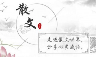散文诗的特点（散文诗的特点和格式是什么）