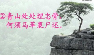 何须马革裹尸还的上一句 十月围城何须马革裹尸还的上一句