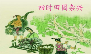村庄儿女各当家的上一句（村庄儿女各当家的上一句是什么）