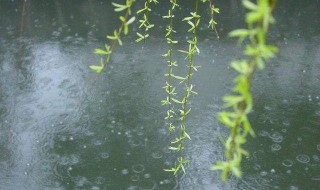 细雨绵绵的唯美句子 细雨绵绵的唯美句子、心情说说及图片