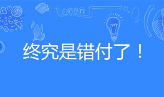 终究是错付了啥意思（终究是错付了之类的话）
