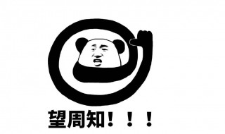 望周知是啥意思（望周知是啥意思 新闻）