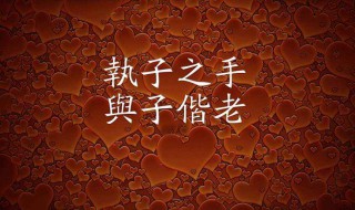 执子之手与子偕老下一句是什么（执子之手与子偕老下一句是什么小段子）