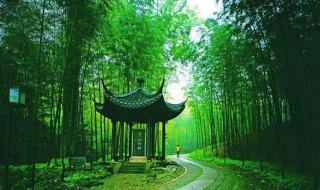 一径竹阴云满地（一径竹阴云满地写的是哪个地方）