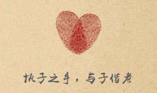 执子之手与子偕老全诗 执子之手与子偕老全诗词