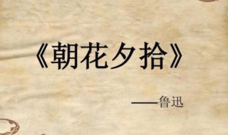 朝花夕拾感悟 朝花夕拾感悟200字