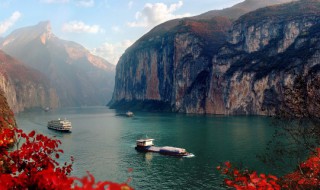 如何描写石头 如何描写石头上的牵牛花