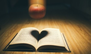 乐府名词解释（酸甜乐府名词解释）