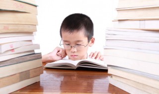 一个个照样子写句子（一个个照样子写句子三年级）