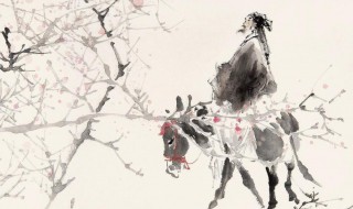 游山西村作者简介 游山西村写作背景