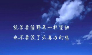 信任的句子经典（信任的句子经典语录）