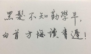 黑发不知勤学早的下一句是什么 黑发不知勤学早的下一句是什么?