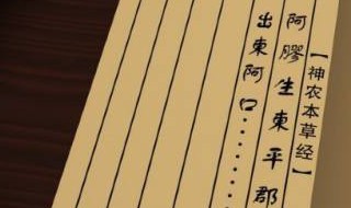 陈述句的例子10个 三年级陈述句的例子10个
