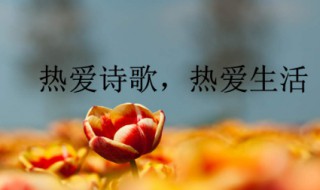 名人名言短句大全摘抄 名人名言短句大全摘抄100句