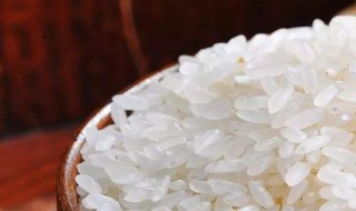 浪费粮食的名言警句（浪费粮食的名言警句李绅）