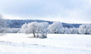 描写雪景的片段（描写雪景的片段200字作文）