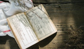 六年级作文变形记500字 六年级作文变形记500字左右猫