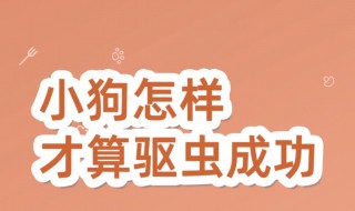 小狗怎样才算驱虫成功 小狗怎样才算驱虫成功幼犬吃了驱虫药第二天还排出虫子