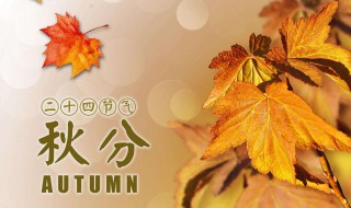 秋分的诗4句 秋分诗词四句