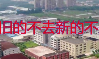 旧的不去新的不来是什么意思（女生说旧的不去新的不来是什么意思）
