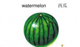 西瓜的英语怎么读（草莓的英语怎么读）