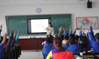积木房子读后感 积木房子读后感二年级